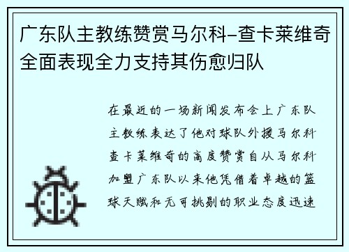 广东队主教练赞赏马尔科-查卡莱维奇全面表现全力支持其伤愈归队